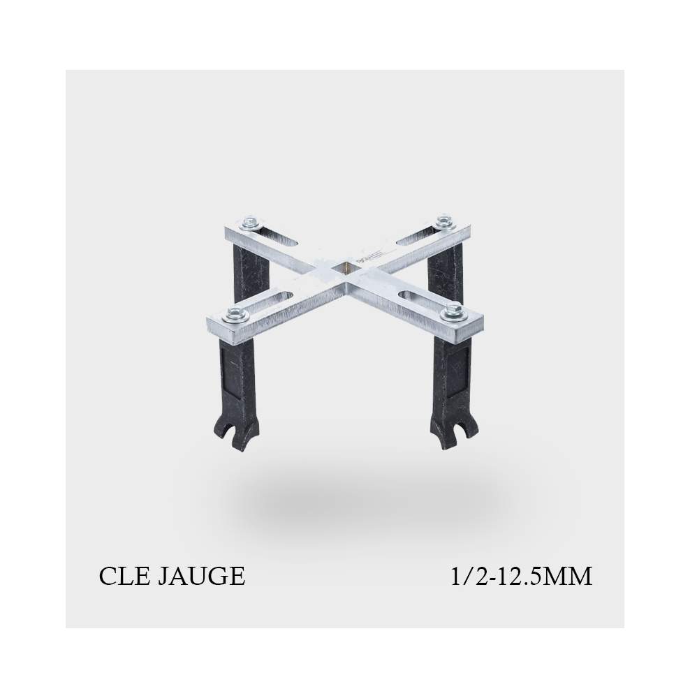 Clé professionnelle pour bague