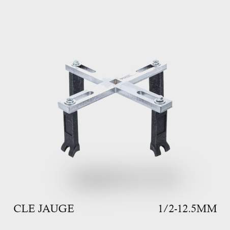 Clé professionnelle pour bague